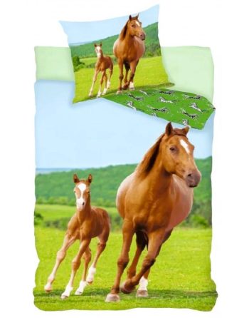 POVLEČENÍ KONĚ