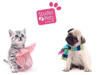 Studio Pets