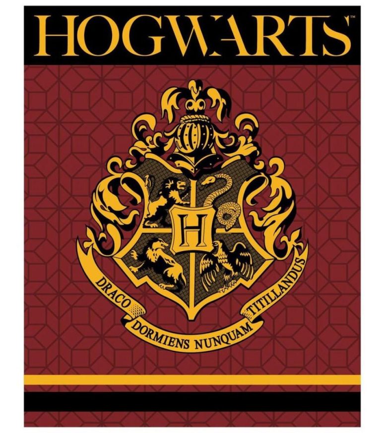 XL FLÍSOVÁ DEKA HARRY POTTER