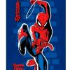 OSUŠKA SPIDERMAN